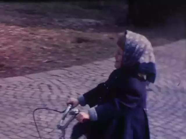 Fondo Franco Gottardi - Porlezza e bambini al macello di Sesto nell'inverno 1969