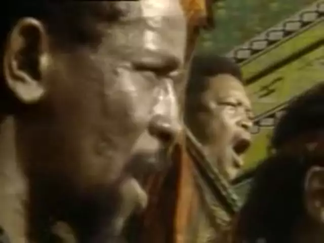 N'Kosi Sikelel’iAfrica (Miriam Makeba, Ladysmith Black Mambazo, Paul Simon)