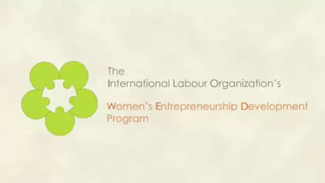 What is the ILO-WED programme?