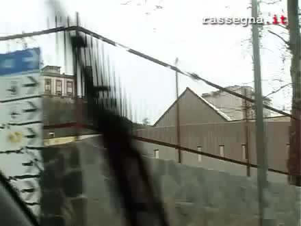 Le radici del coraggio