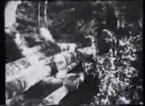 Video del 1948 sul lavoro dei boscaioli friulani