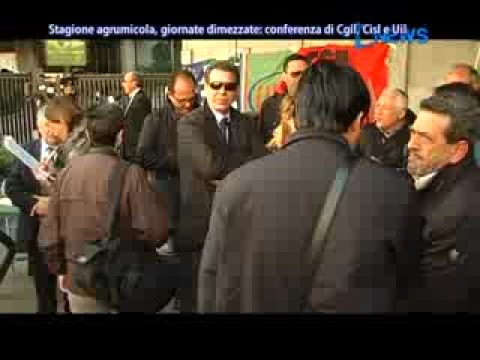 Catania: Stagione Agrumicola, Giornate Dimezzate