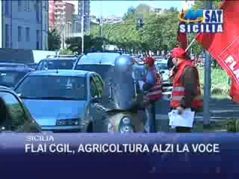 Flai Sicilia: l'Agricoltura alzi la voce