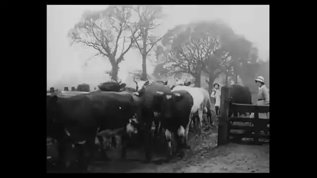 Women Farm Workers (1916)