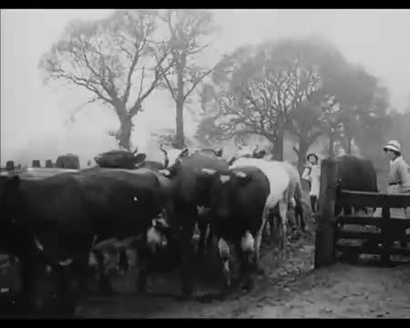 Women Farm Workers (1916)