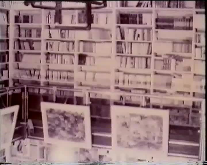 Amnistia que trata de Espana 1972